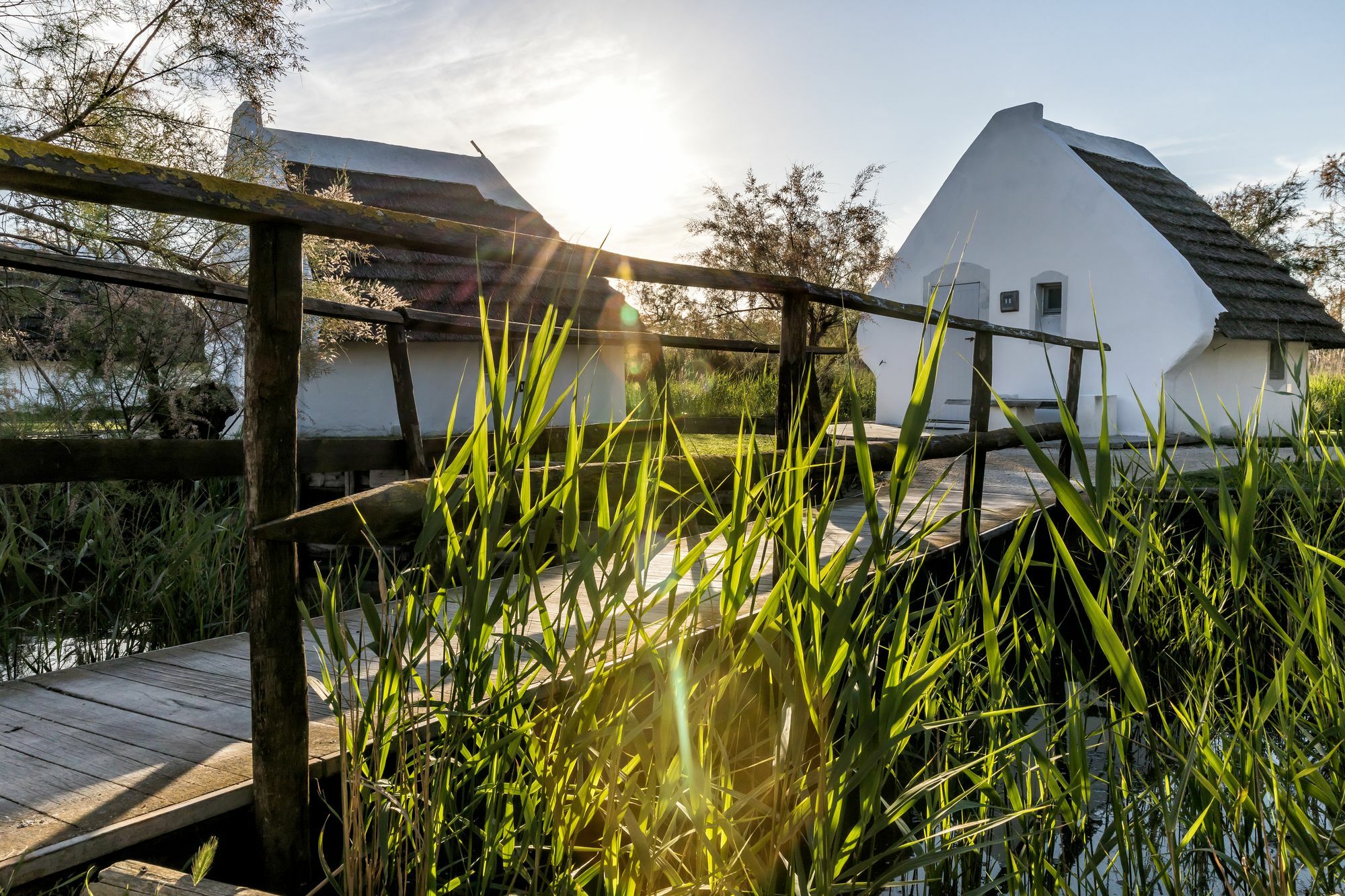 Les Bains Gardians Hotel Saintes-Maries-de-la-Mer Exterior photo